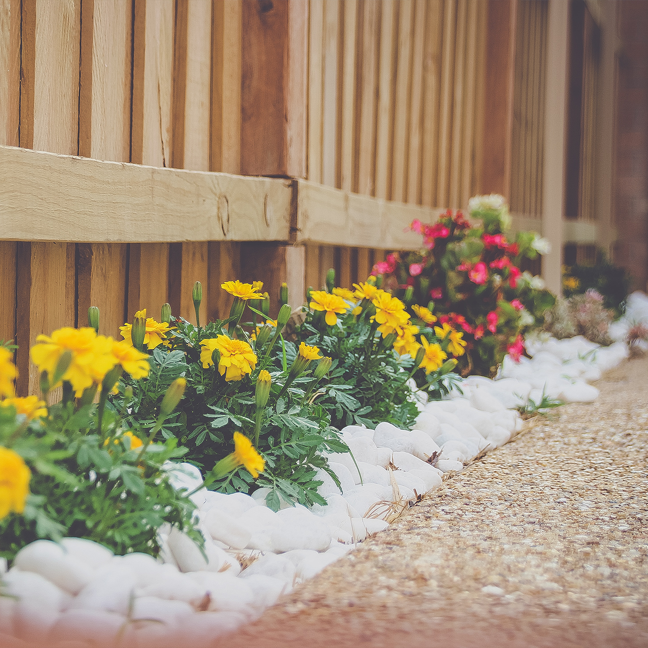 Hine-Design__Square-image__05